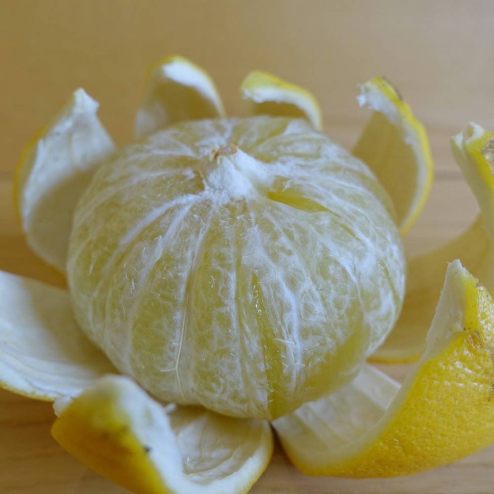 Bergamotte (ohne Bergapten) ätherisches Öl Bio