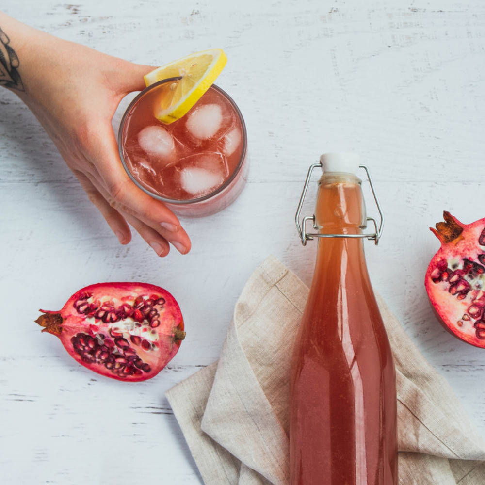 Kombucha Tee Pilz (Startpilz) Bio