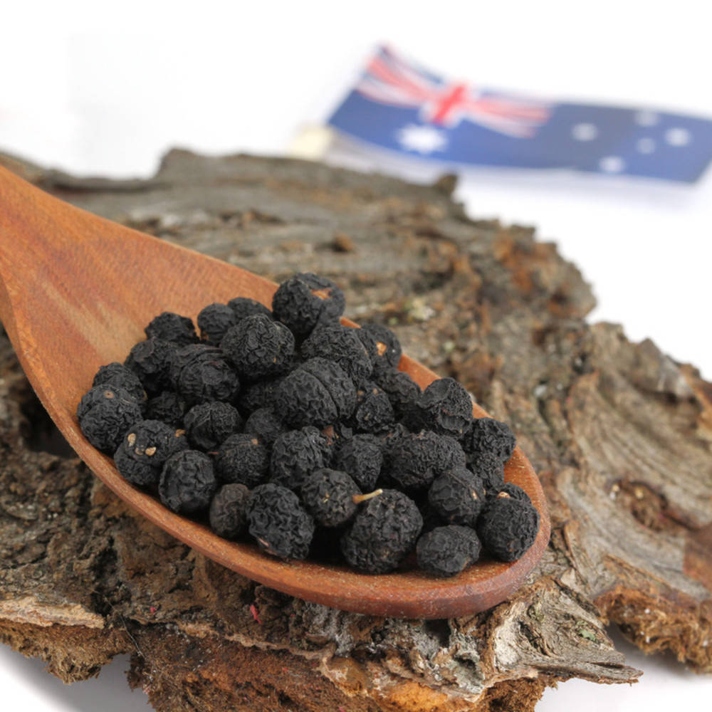 Pfeffer Tasmanischer Bergpfeffer