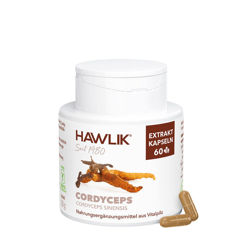 hawlik-cordyceps--kapseln