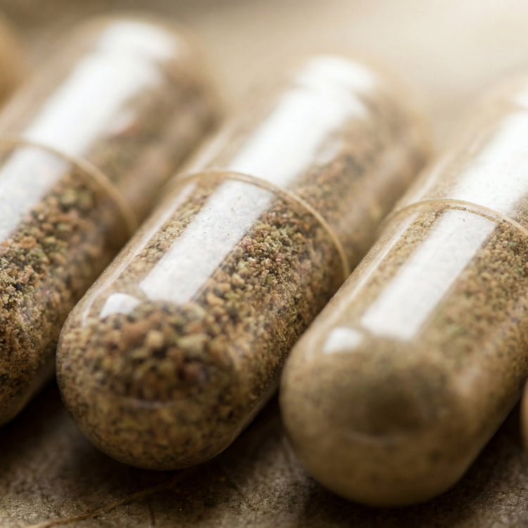 Longevity Kapseln & Tabletten | Chrüterhüsli