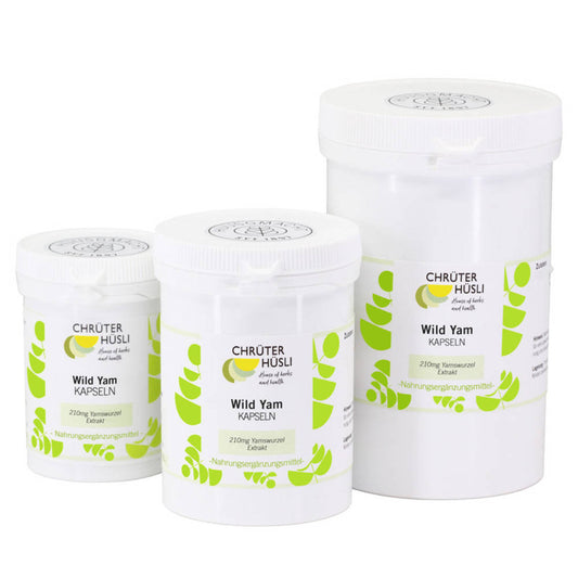 Wild Yam Kapseln
