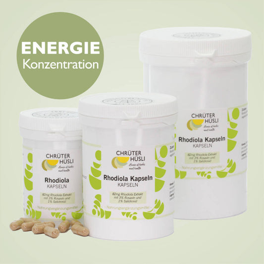 Rhodiola Kapseln