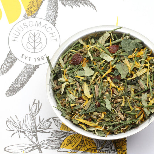 Frühlingsputz Tee 80 g