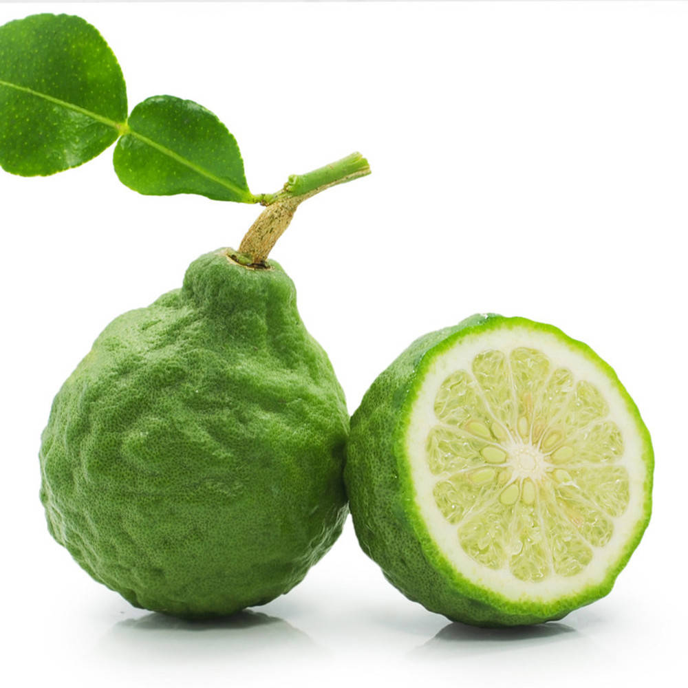 Bergamotte (ohne Bergapten) ätherisches Öl Bio