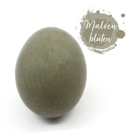 Malvenblüten schwarz Ostereierfarbe