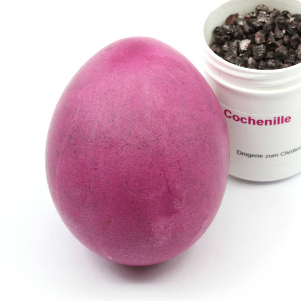 Cochenille Ostereierfarbe