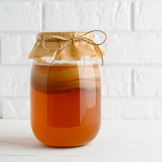 Kombucha Tee Pilz (Startpilz) Bio