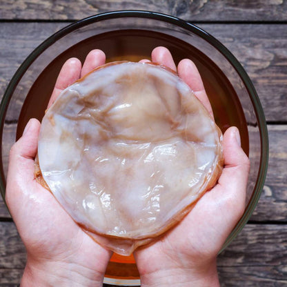 Kombucha Tee Pilz (Startpilz) Bio