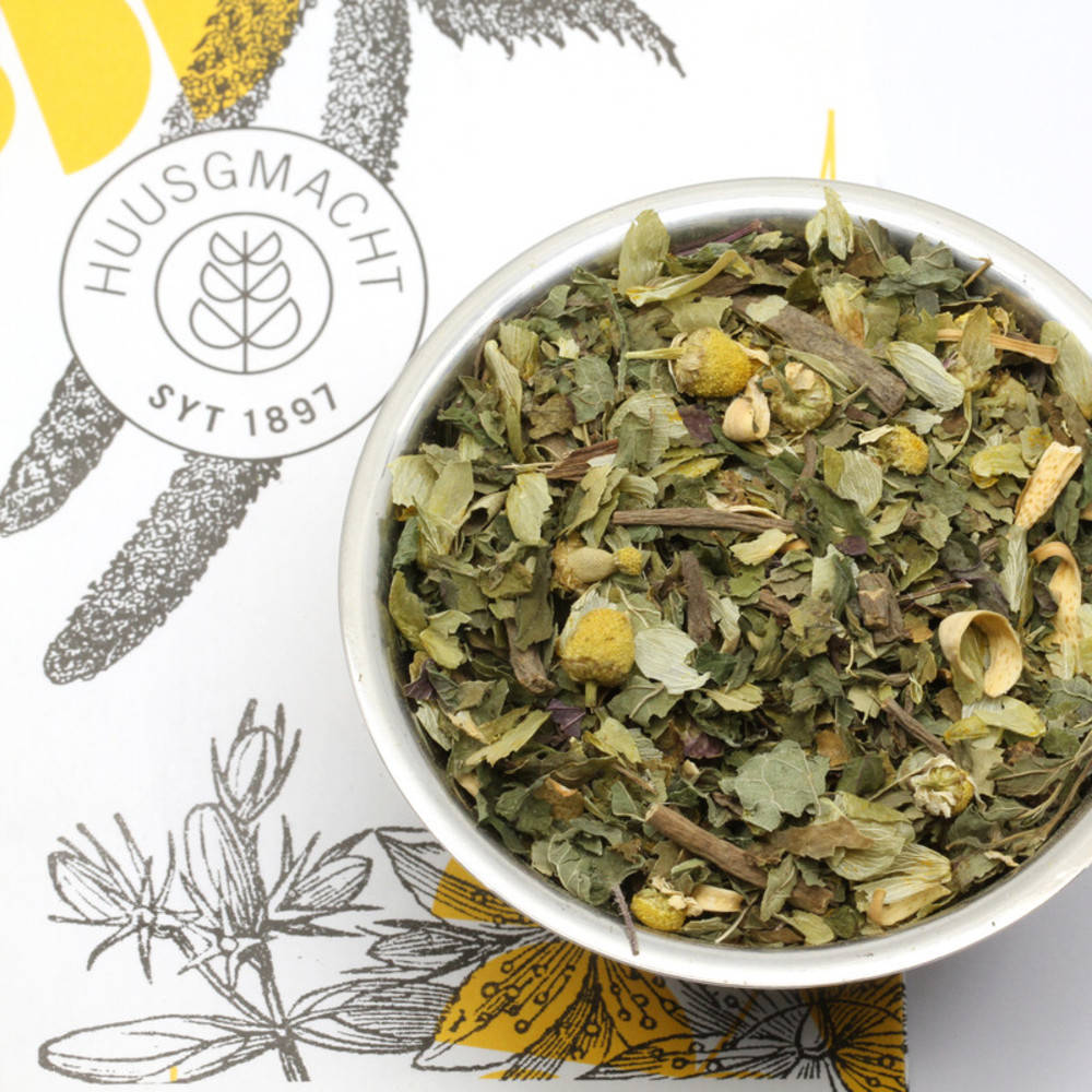 Traumfänger Tee Bio