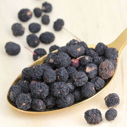 Pfeffer Tasmanischer Bergpfeffer