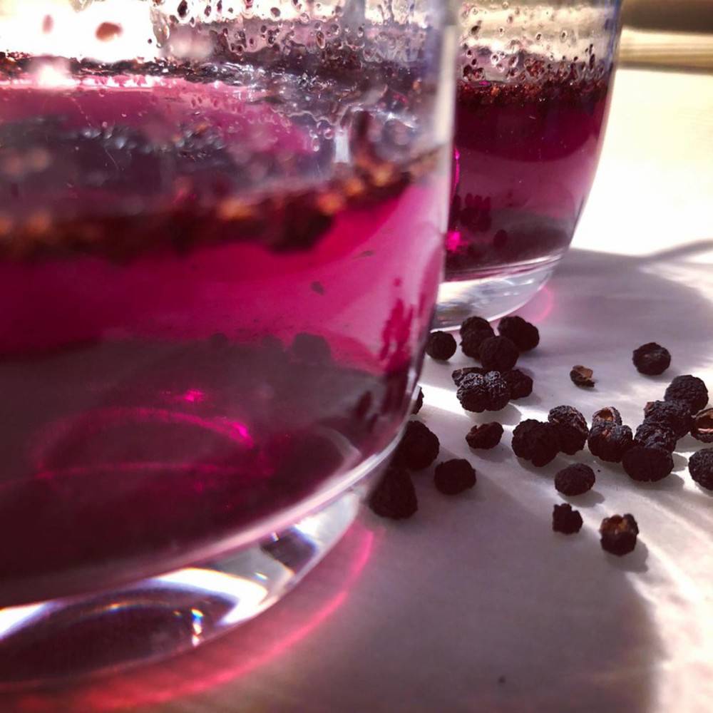 Pfeffer Tasmanischer Bergpfeffer