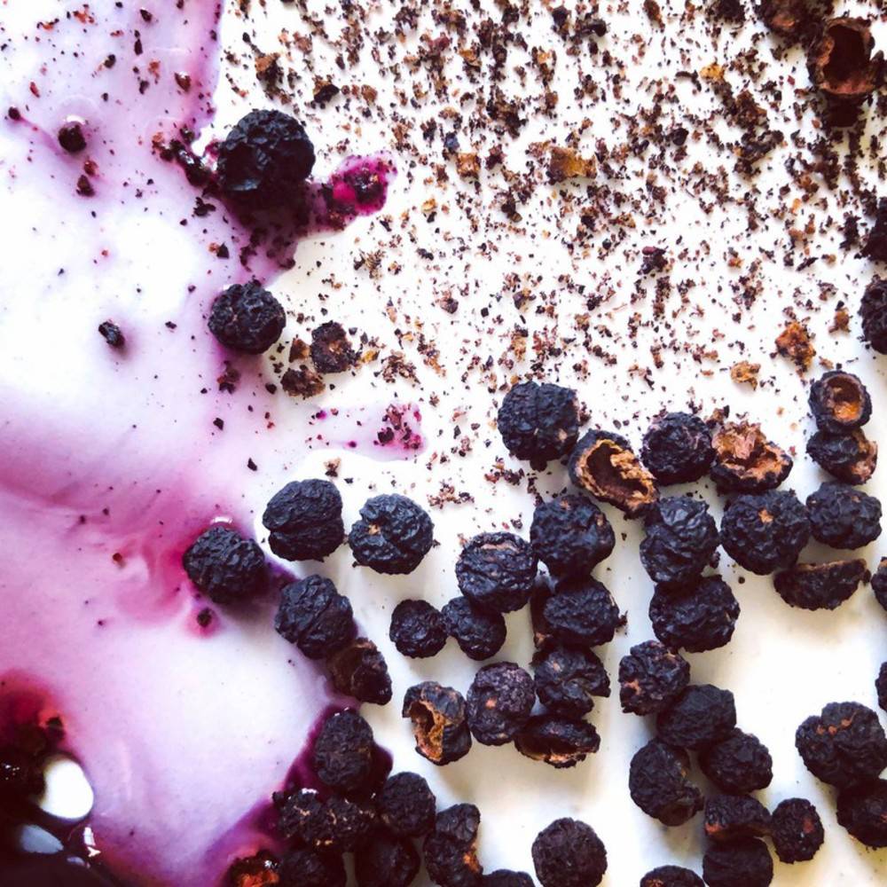 Pfeffer Tasmanischer Bergpfeffer