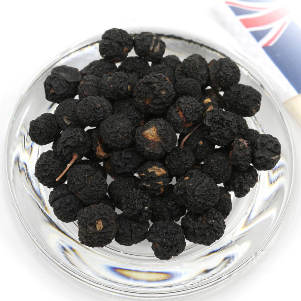 Pfeffer Tasmanischer Bergpfeffer