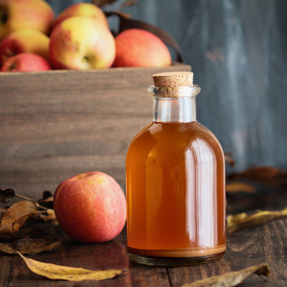 Essigmutter Startkulturen