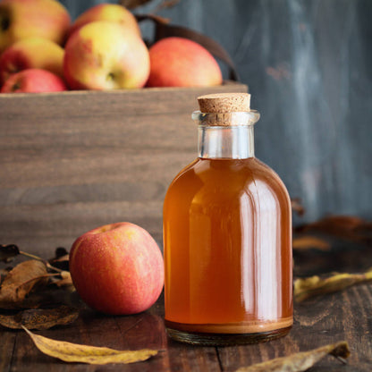 Essigmutter Startkulturen