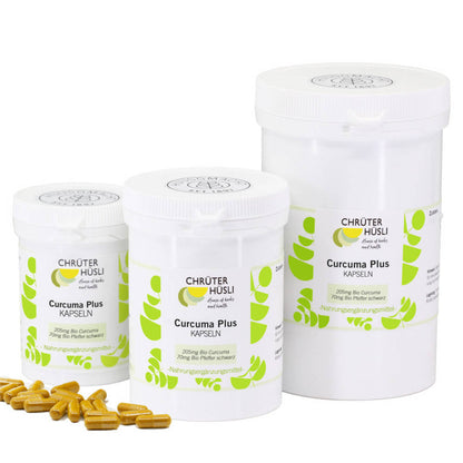 Curcuma Plus Kapseln Bio