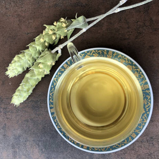 Griechischer Bergtee Bio