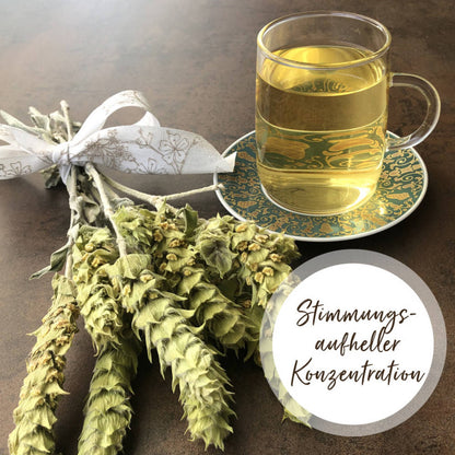 Griechischer Bergtee Bio