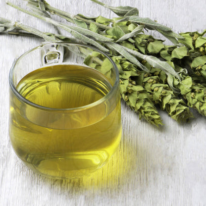 Griechischer Bergtee Bio