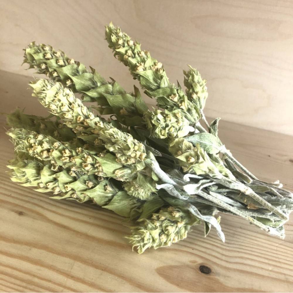 Griechischer Bergtee Bio