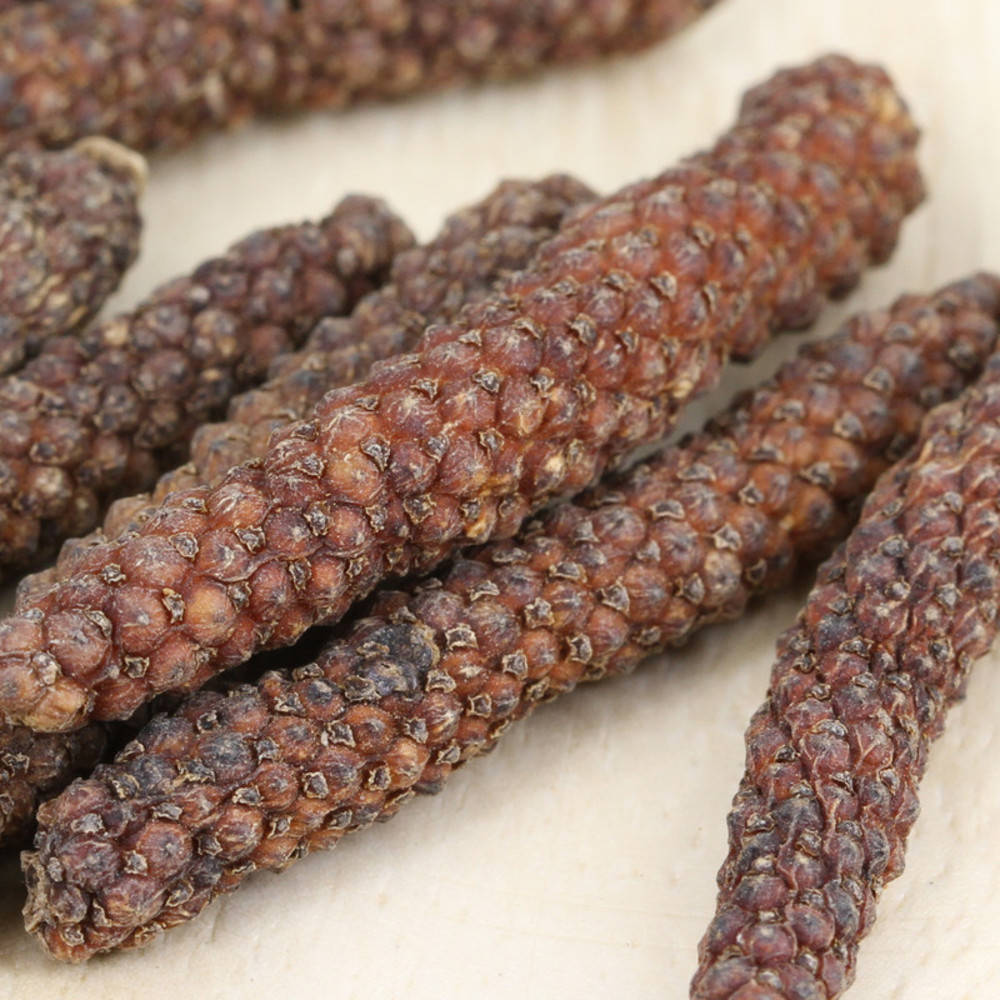 Pfeffer langer roter