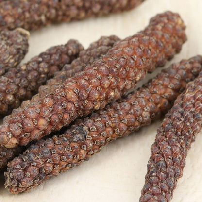 Pfeffer langer roter