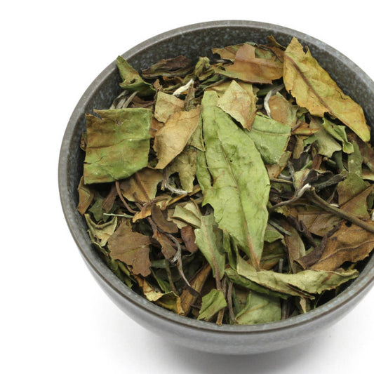 Weisser Tee Yunnan Bio