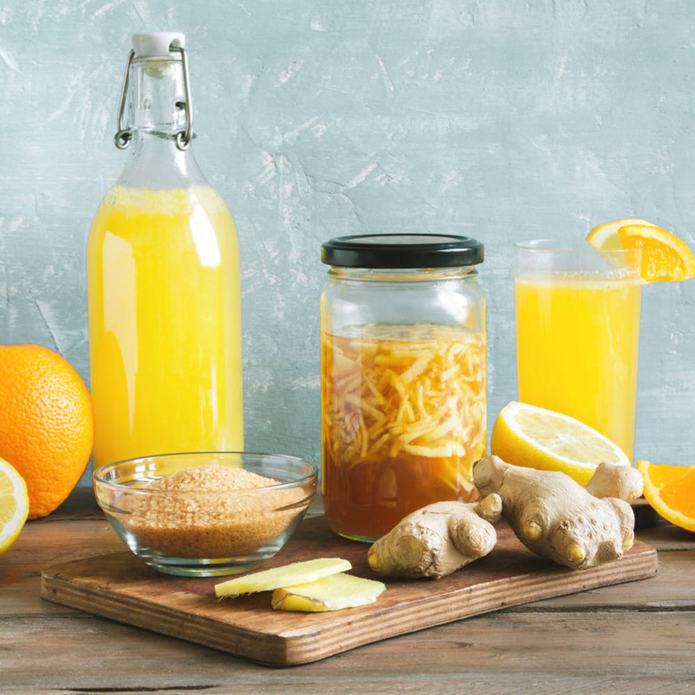 Ginger Beer Kefir Startkultur (für 1 l Ansatz)
