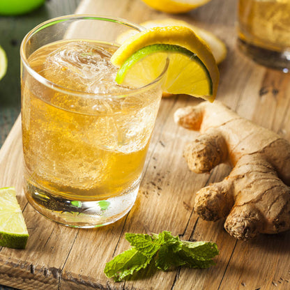 Ginger Beer Startkultur