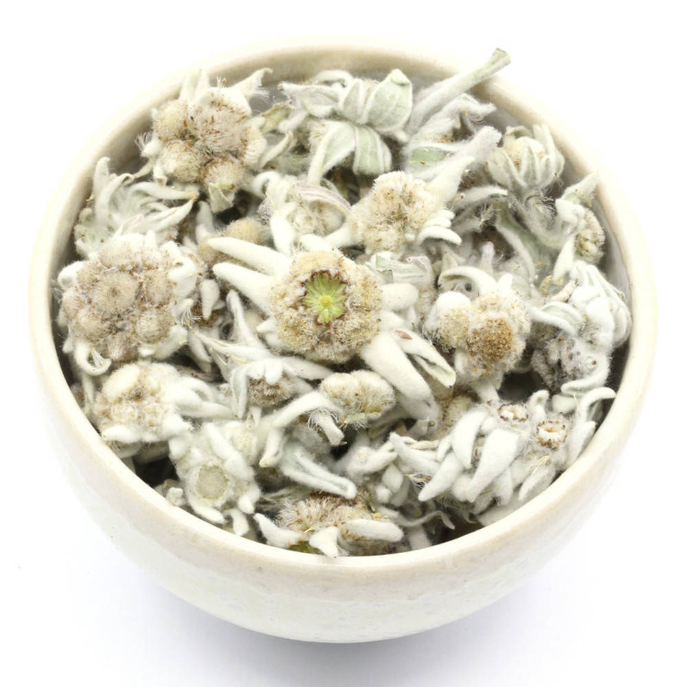 Edelweissblüten Bio