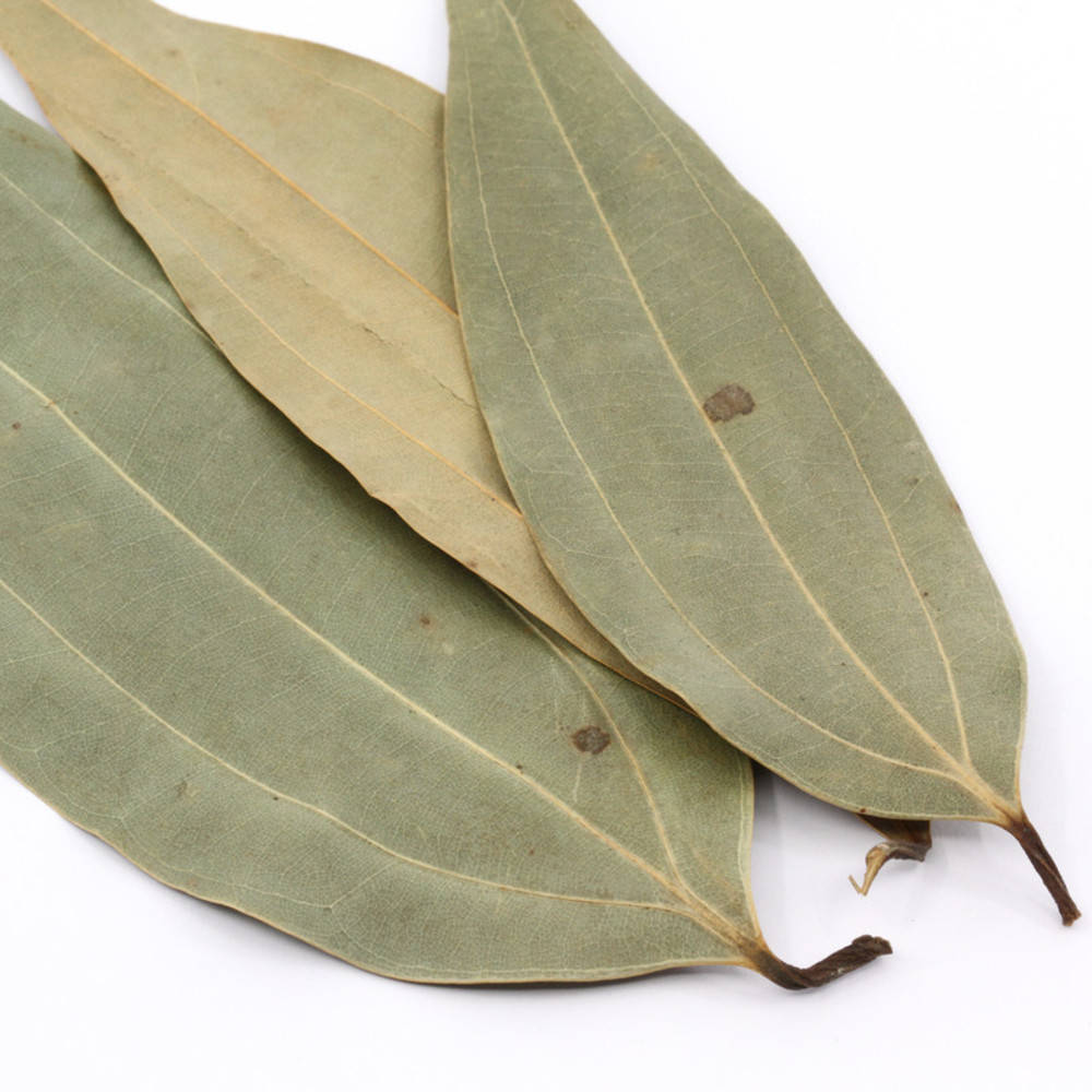 Lorbeerblatt, indisches ganz