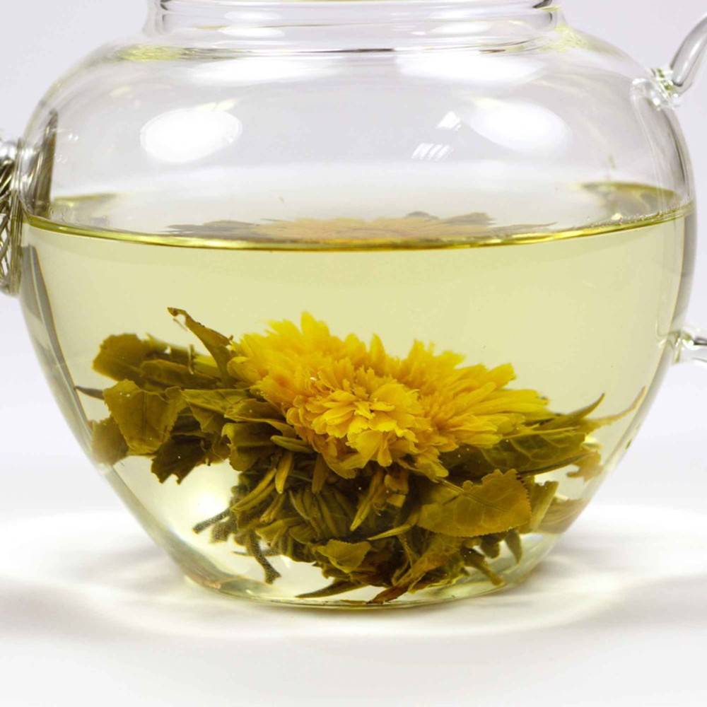 Teeblume Marigold
