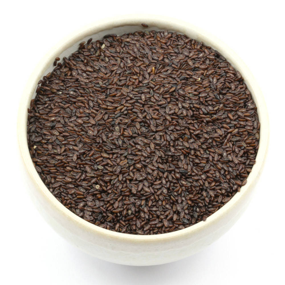 Flohsamen ganz