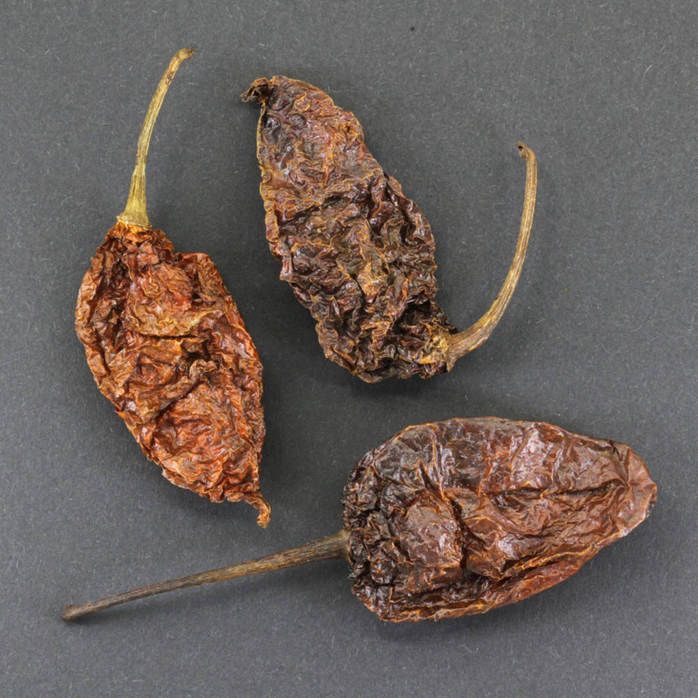 Chili Bhut Jolokia gebrochen