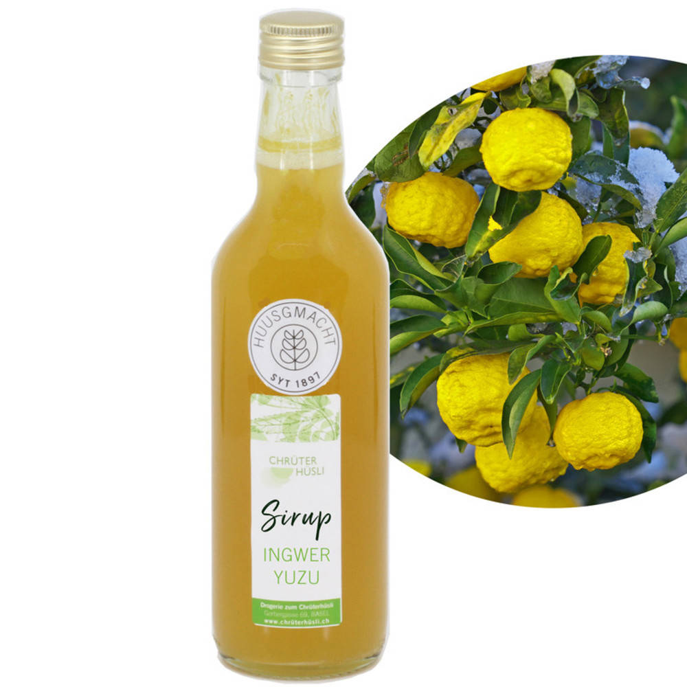 Ingwer Yuzu Sirup