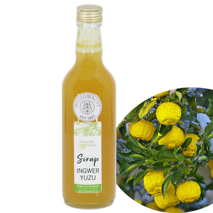 Ingwer Yuzu Sirup
