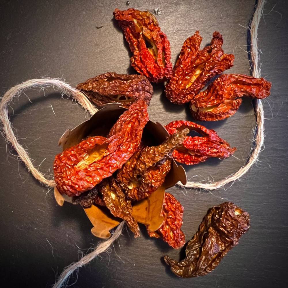 Chili Brown Butlah "Schweiz"