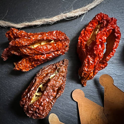 Chili Brown Butlah "Schweiz"