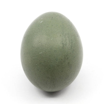 Grünmischung Ostereierfarbe