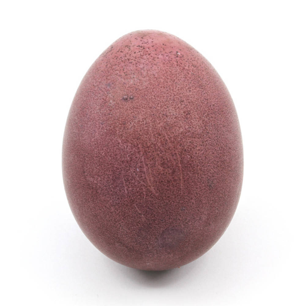 Blauholz Ostereierfarbe