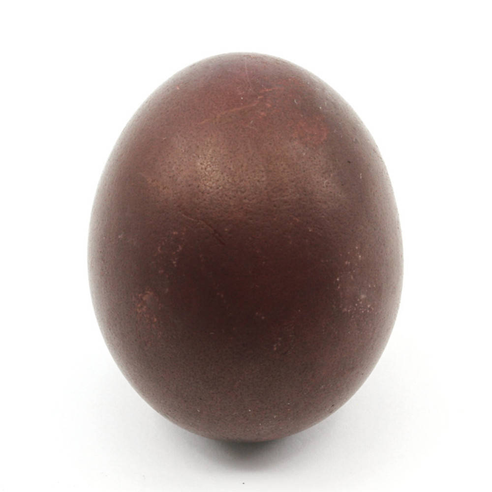 Blauholz Ostereierfarbe