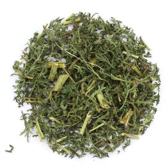 Beifuss einjährig Bio