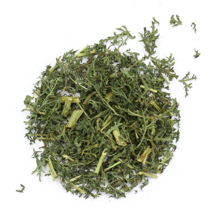 Beifuss einjährig Bio