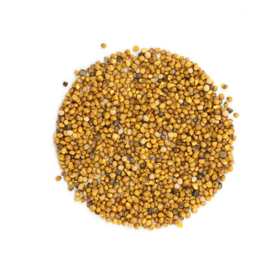 Senf Braun indisch Bio 100 g