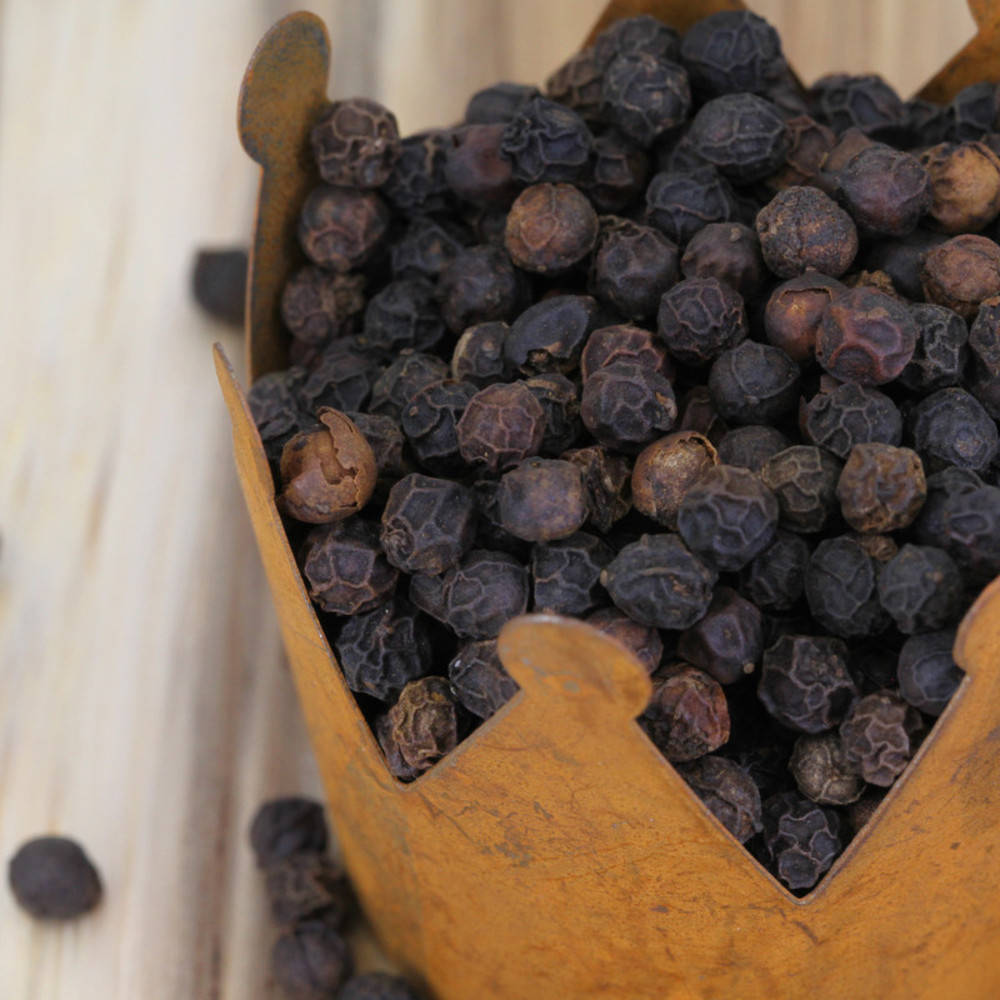 Pfeffer schwarz Rajakumari