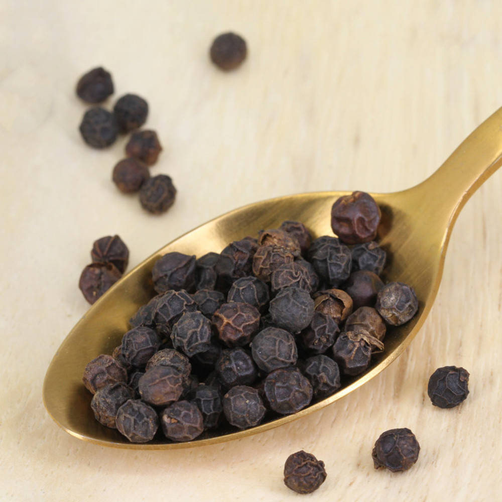 Pfeffer schwarz Rajakumari