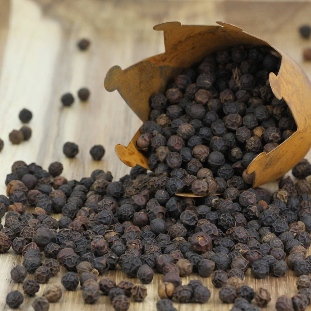 Pfeffer schwarz Rajakumari