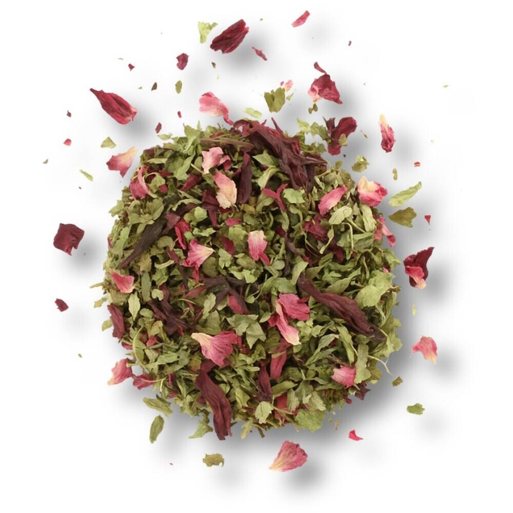 Tierfreunde Tee Bio 🐾