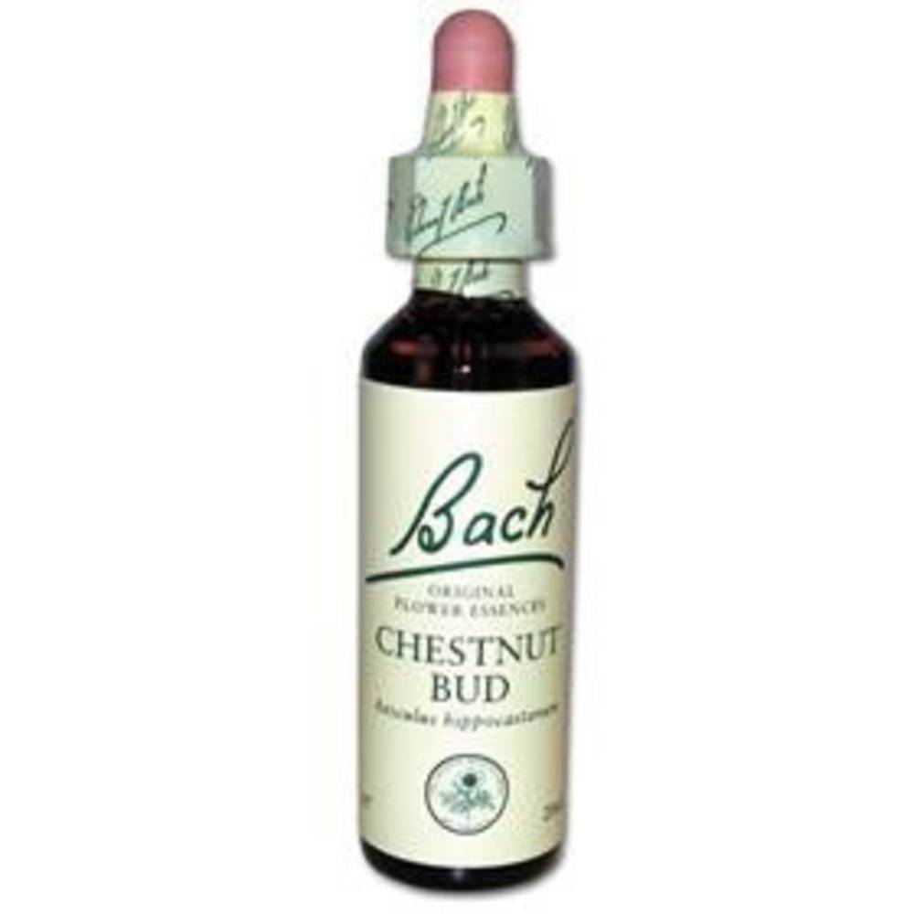 Original Bachblüten Chestnut Bud N°7 20 ml